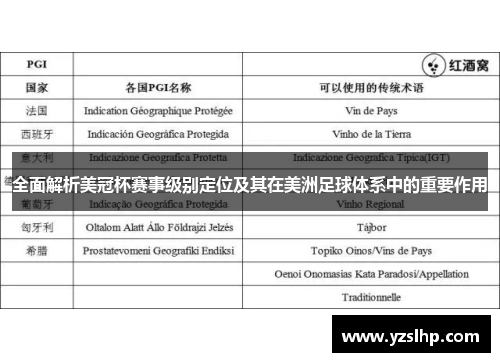全面解析美冠杯赛事级别定位及其在美洲足球体系中的重要作用 全面解析美冠杯赛事级别定位及其在美洲足球体系中的重要作用